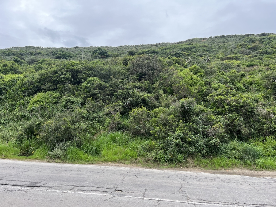 0 Bedroom Property for Sale in Amsterdamhoek Eastern Cape